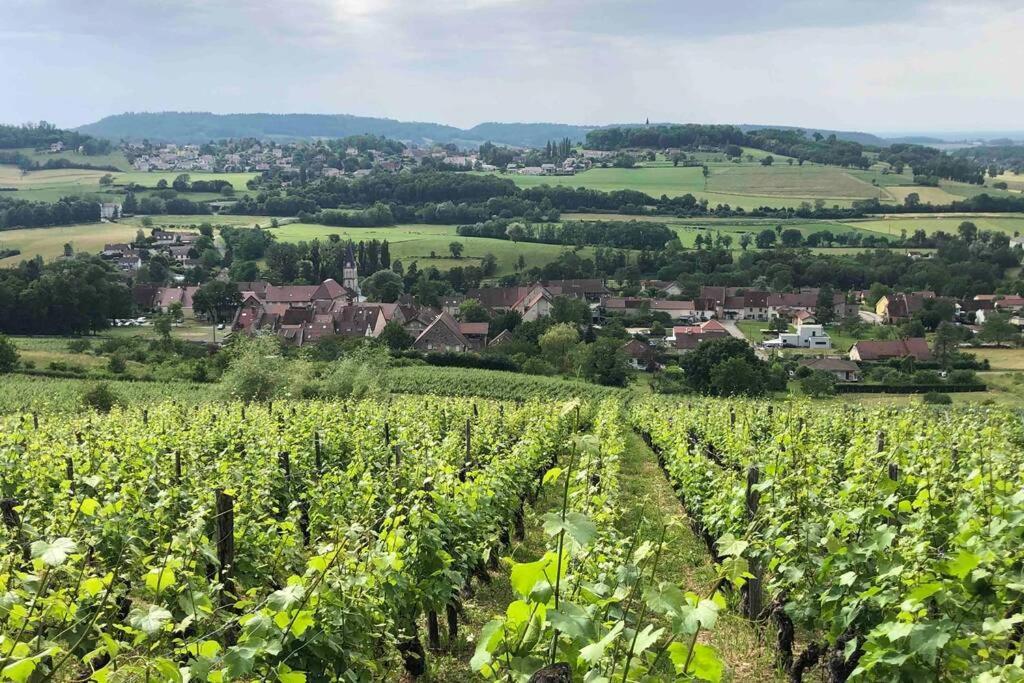 Maison Au Coeur Du Vignoble Jurassien 90 M2 Lavigny Eksteriør bilde