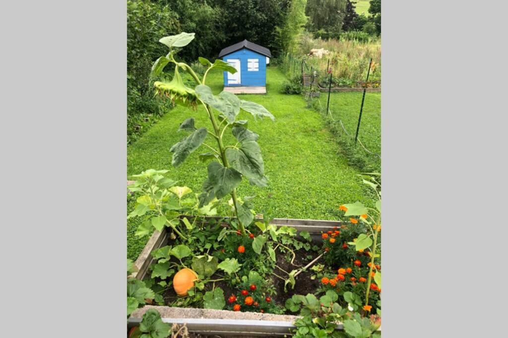 Maison Au Coeur Du Vignoble Jurassien 90 M2 Lavigny Eksteriør bilde