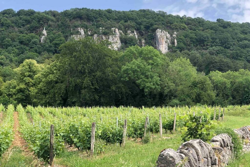 Maison Au Coeur Du Vignoble Jurassien 90 M2 Lavigny Eksteriør bilde